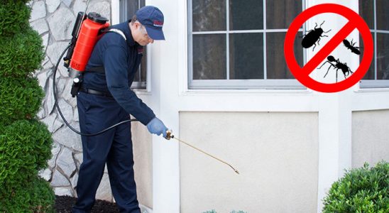 Körfez Dezenfeksiyon böcek ilaçlama ve haşere kontrolü — ilaclama-tr.com